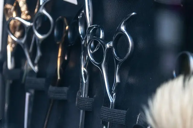 Best Kitchen Shears: A Comprehensive Buying Guide