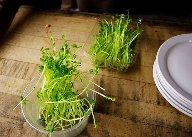 Ultimate Buying Guide for Food Prep Gadgets